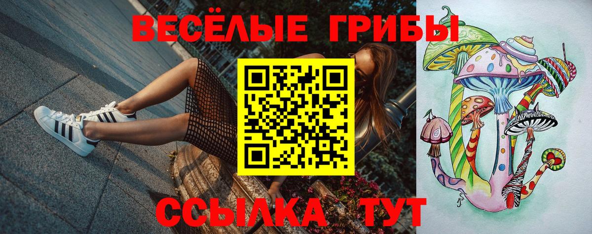 Галлюциногенные грибы Cubensis Ялта