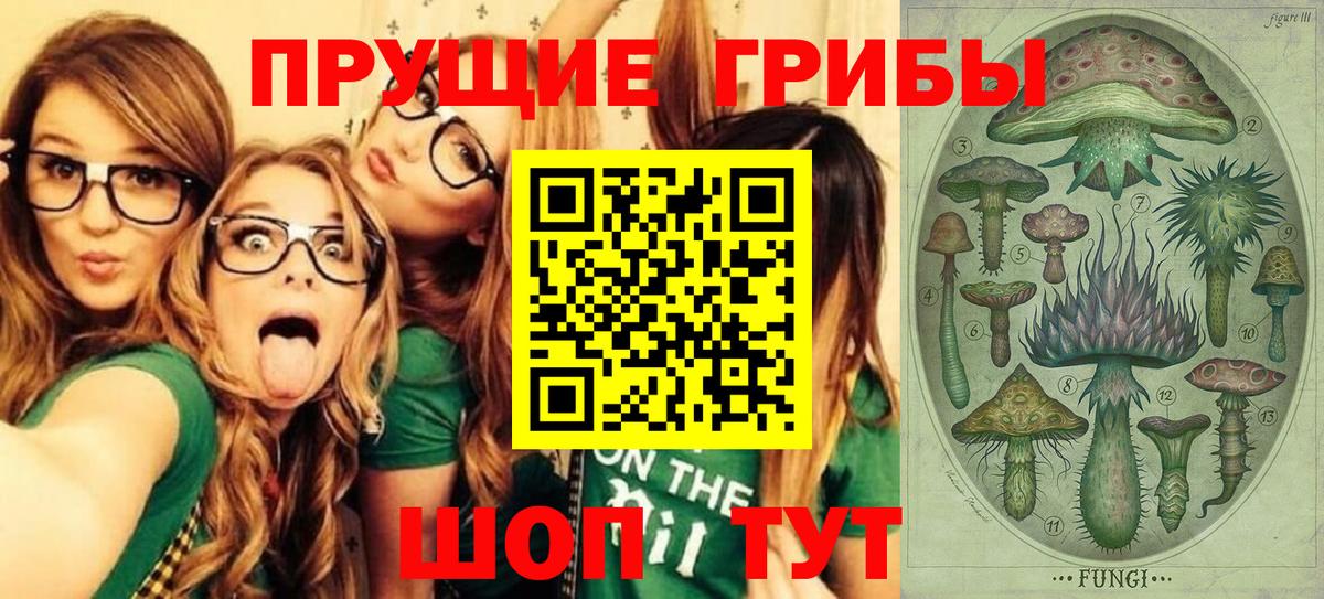 где можно купить наркотик  Вход с VPN  Псилоцибиновые грибы Psilocybine cubensis  Ялта  Псилоцибиновые грибы GOLDEN TEACHER 